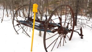 Antique wheels in woods